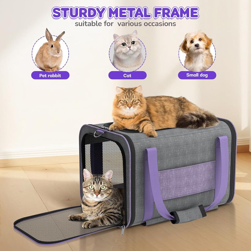 Airline approved pet leash