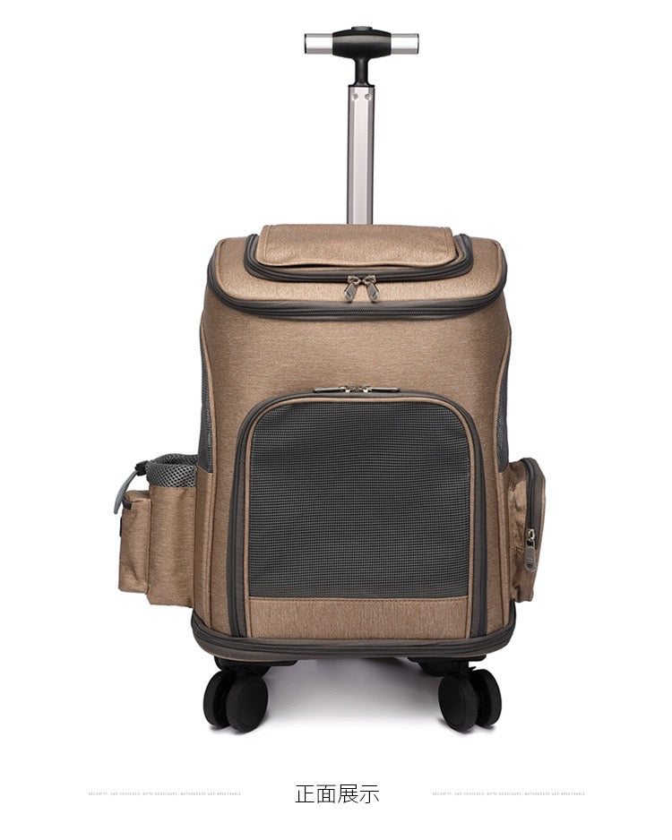 Cat and pet backpack