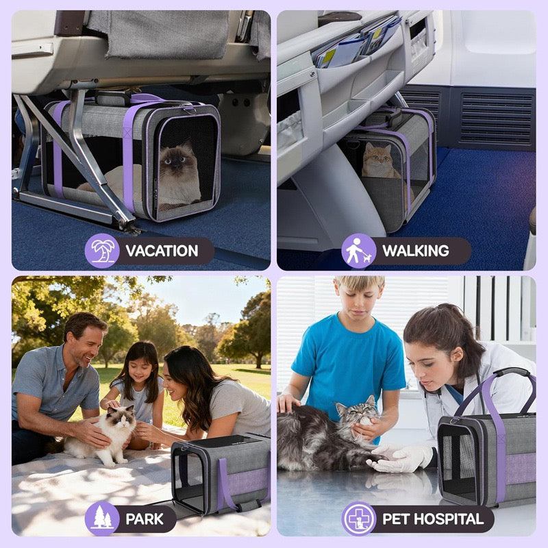 Airline approved pet leash