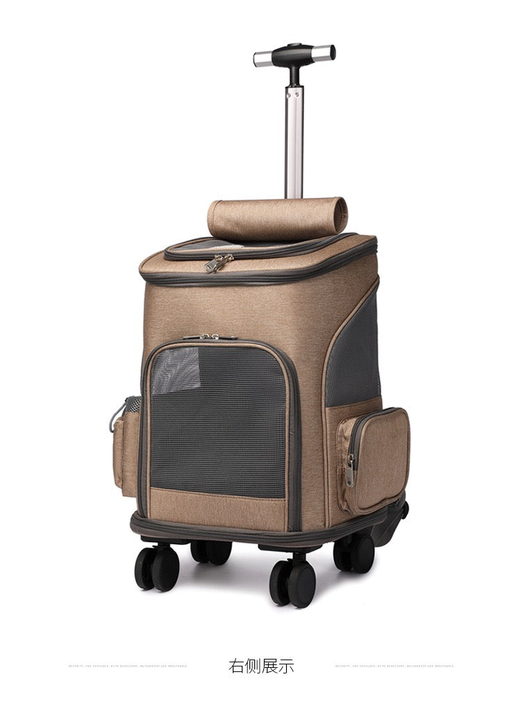 Cat and pet backpack