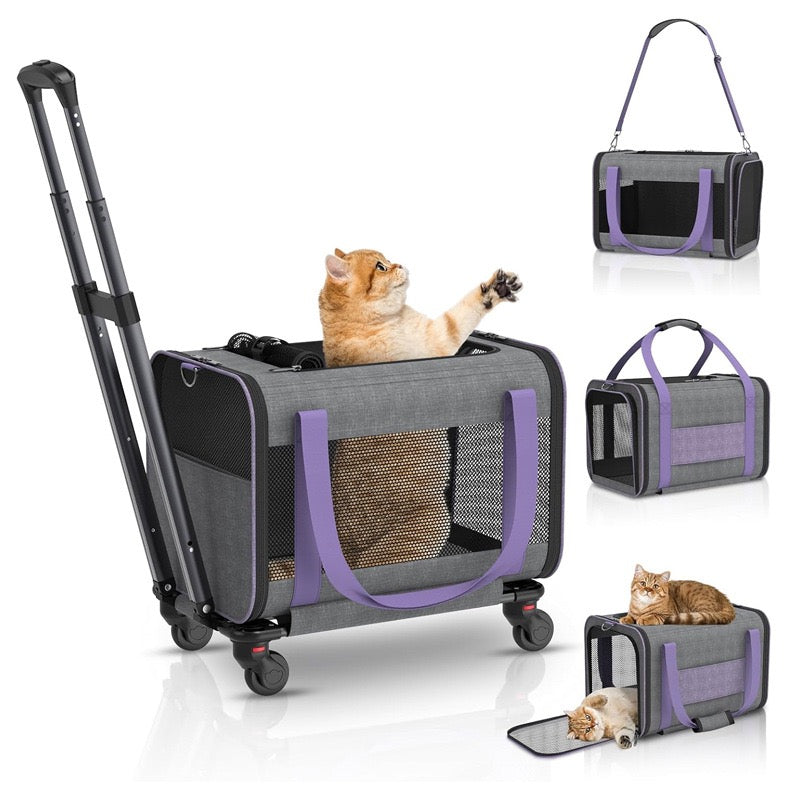 Airline approved pet leash