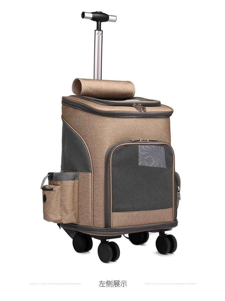 Cat and pet backpack