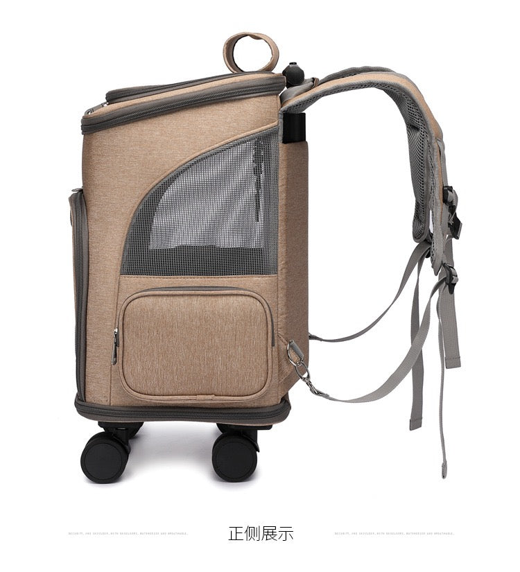 Cat and pet backpack