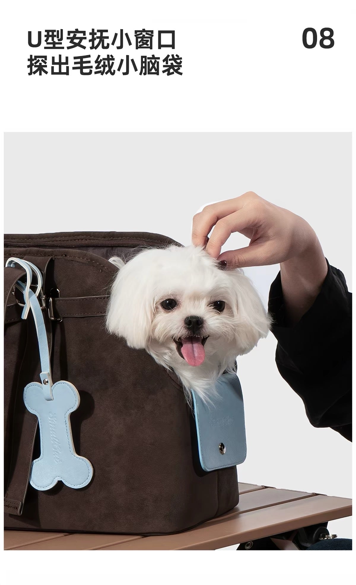 Pet bag for dogs