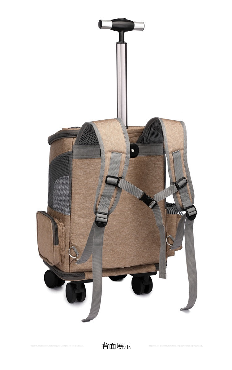 Cat and pet backpack