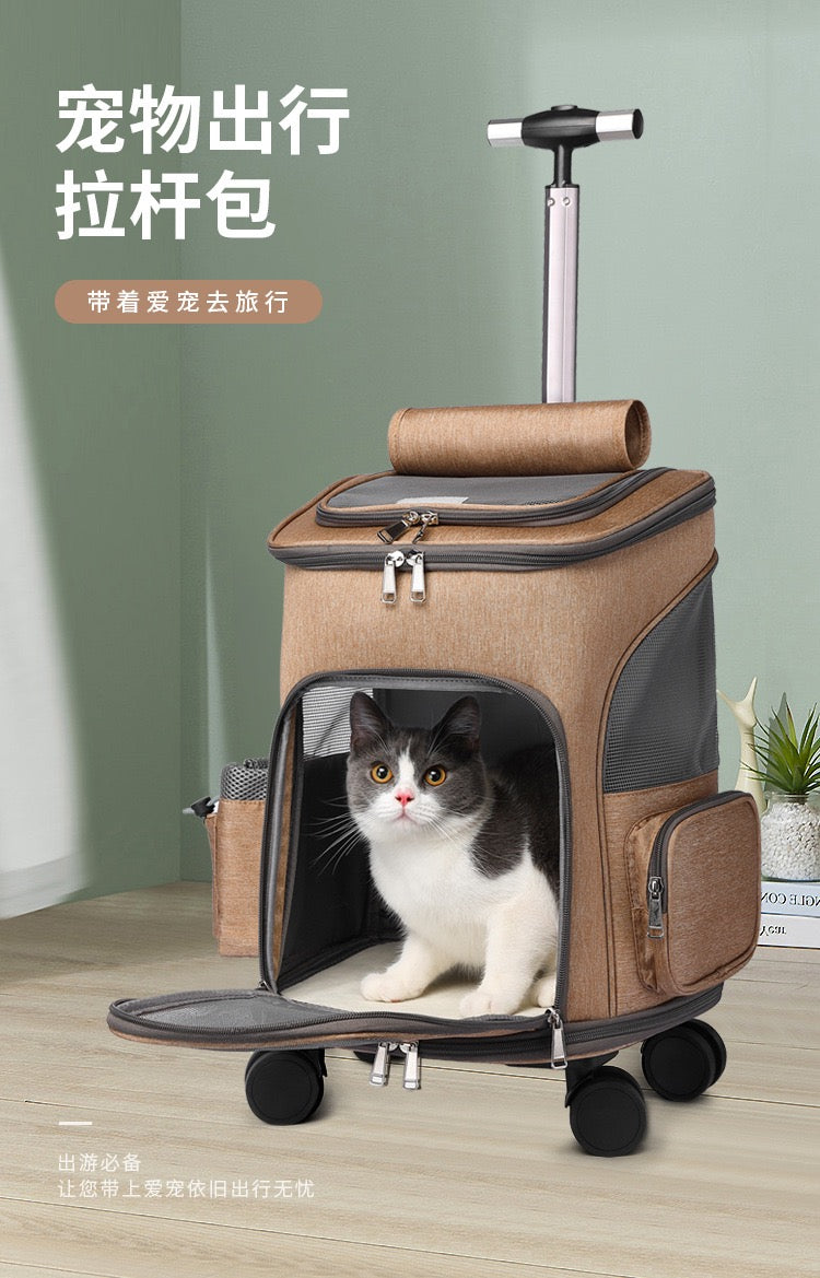 Cat and pet backpack