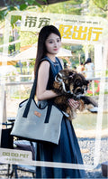 Portable high-end pet dog single shoulder backpack for outdoor use