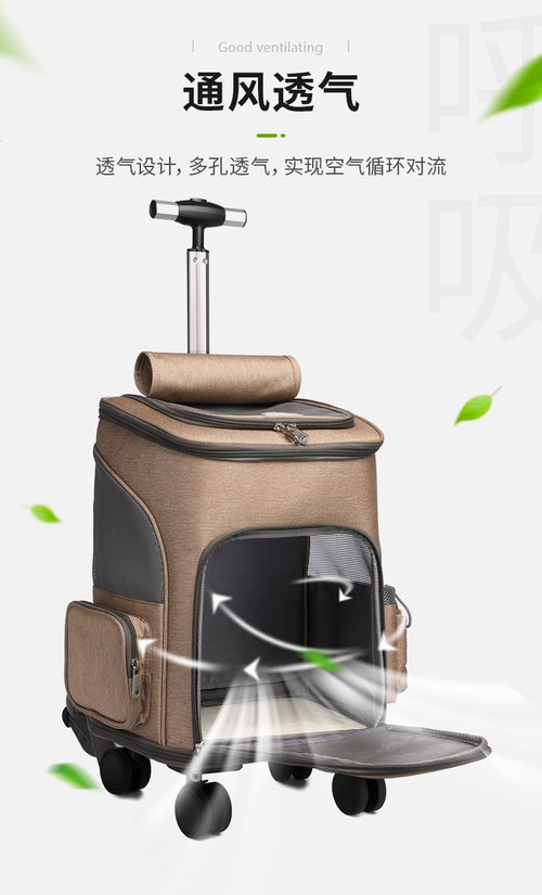 Cat and pet backpack