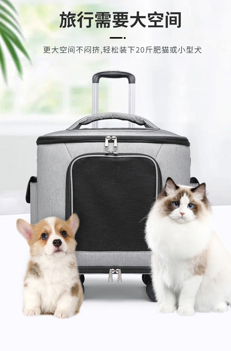 Pet bag, cat bag, outdoor bag