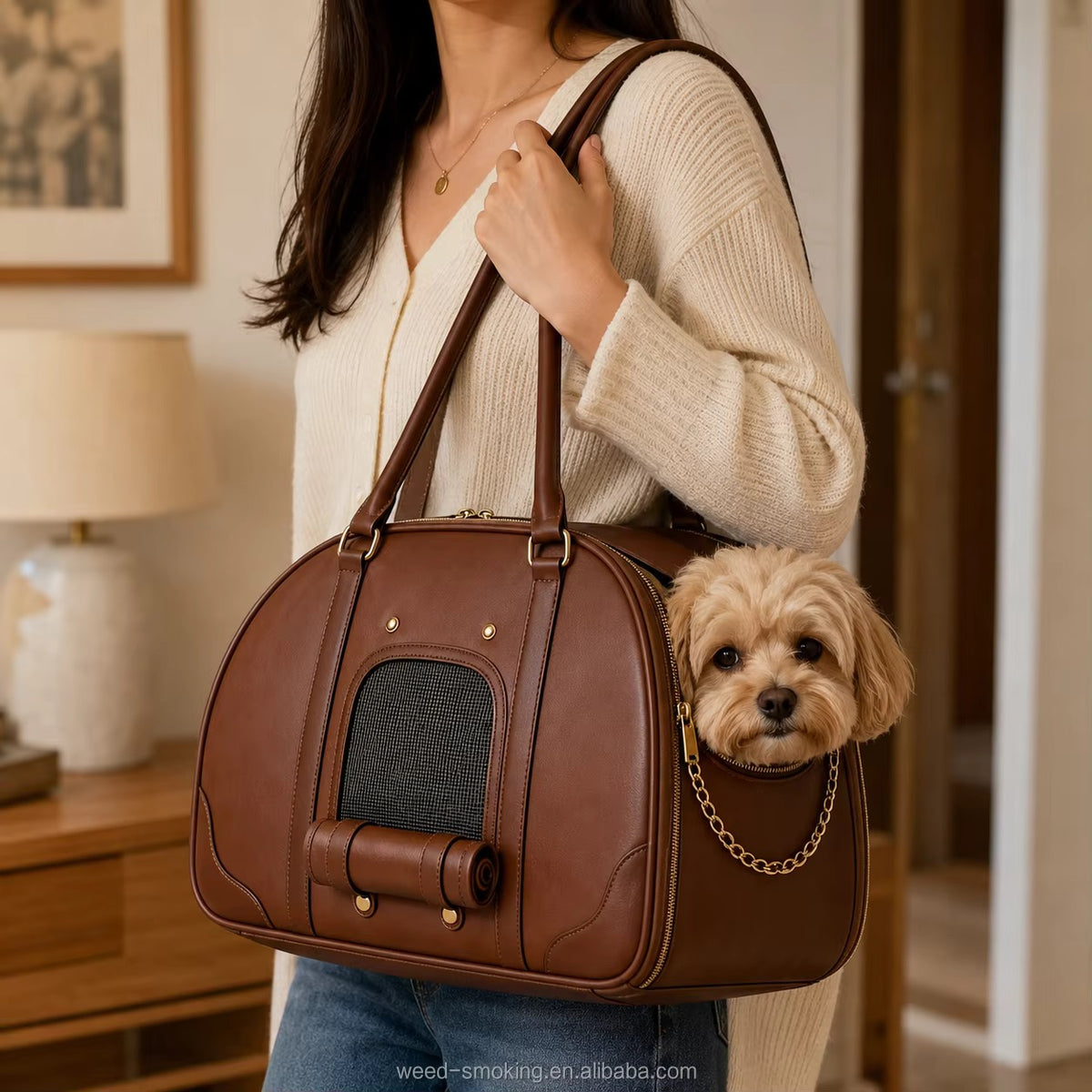 Portable high-end pet dog single shoulder backpack for outdoor use