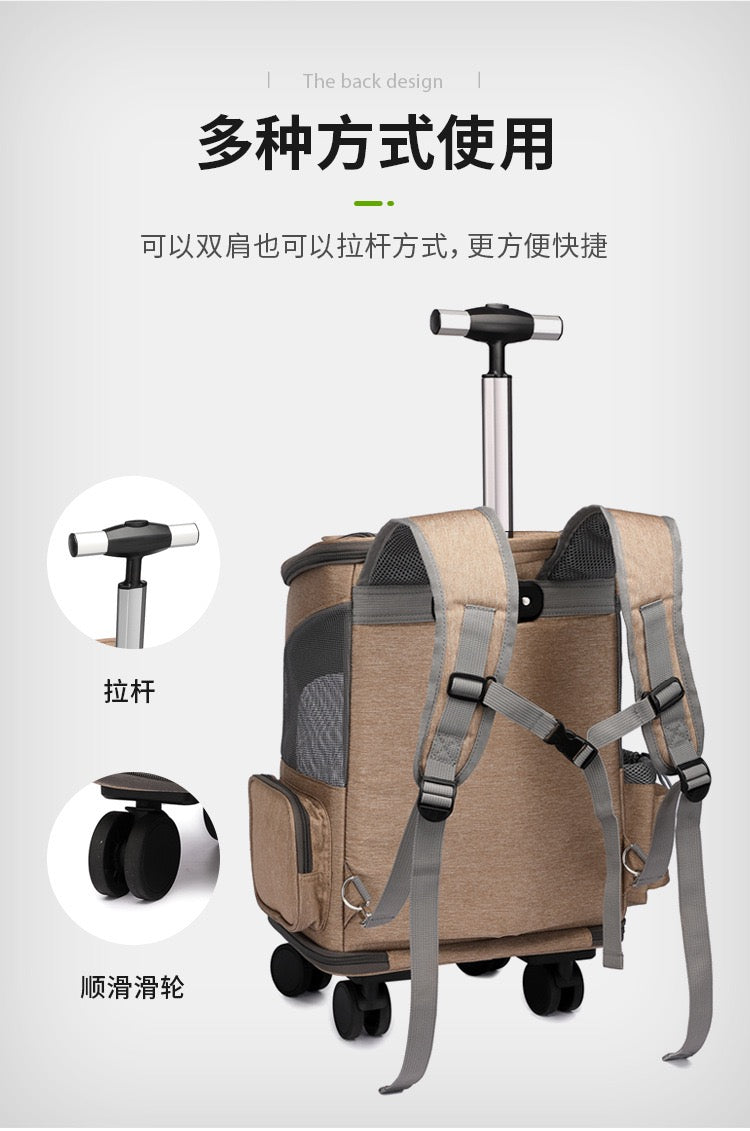 Cat and pet backpack