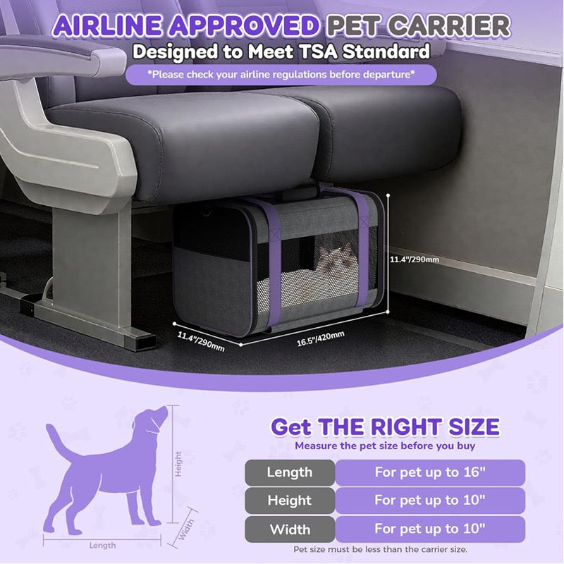 Airline approved pet leash