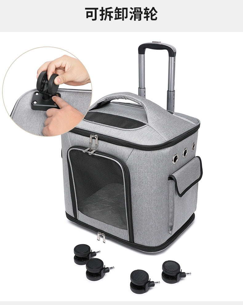 Pet bag, cat bag, outdoor bag
