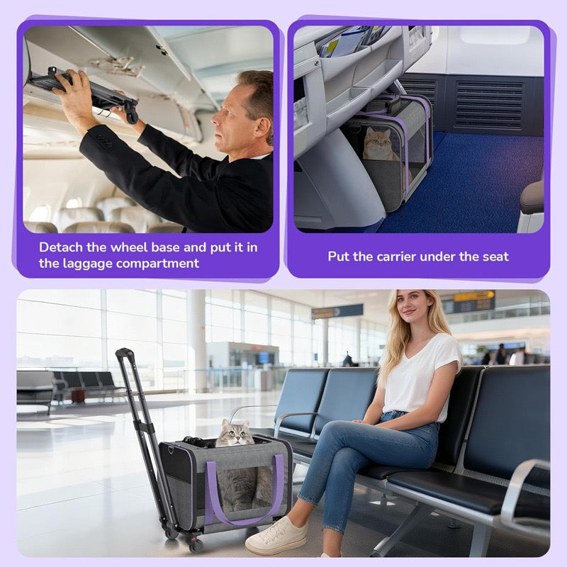 Airline approved pet leash