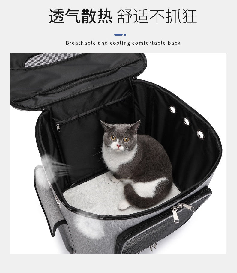Pet bag, cat bag, outdoor bag