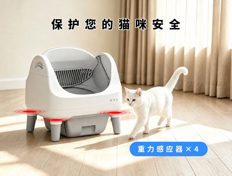 Kittens can have an automatic litter box
