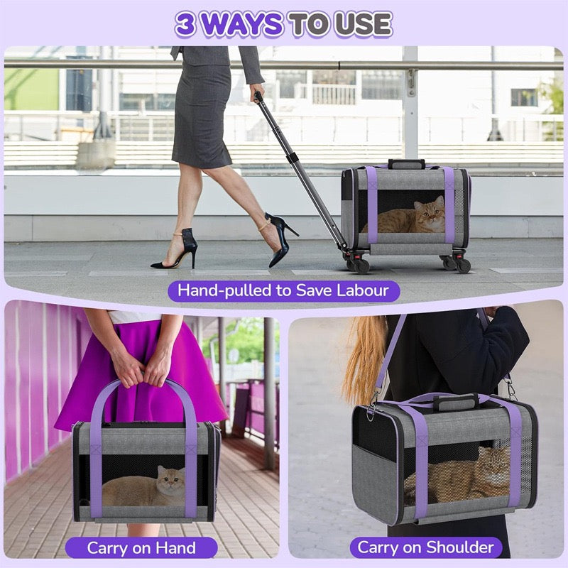 Airline approved pet leash