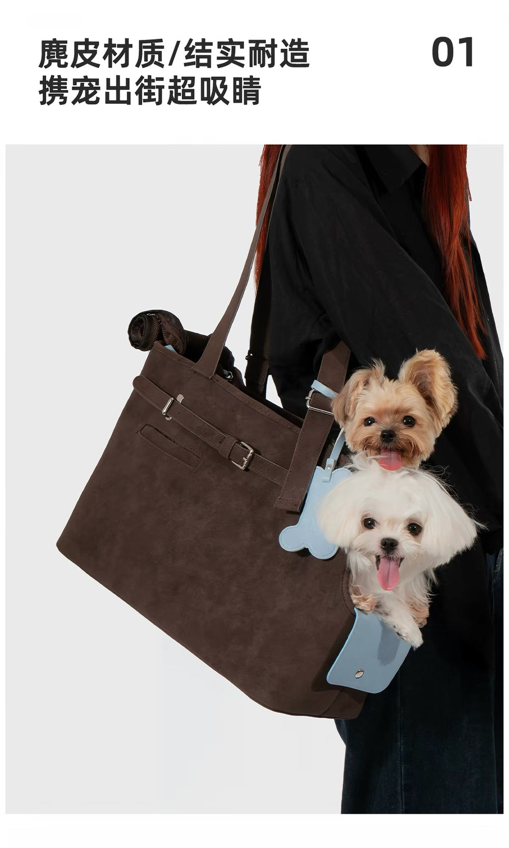 Pet bag for dogs