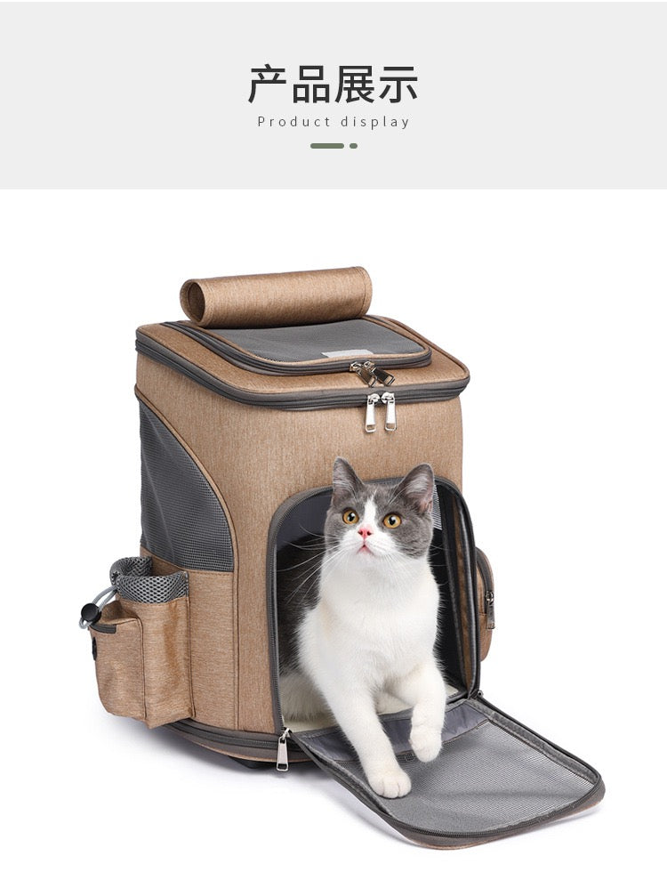 Cat and pet backpack